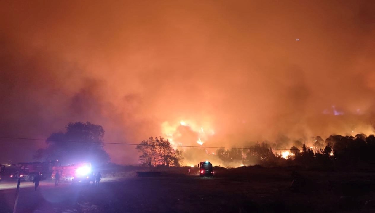 Bursa’da orman yangını