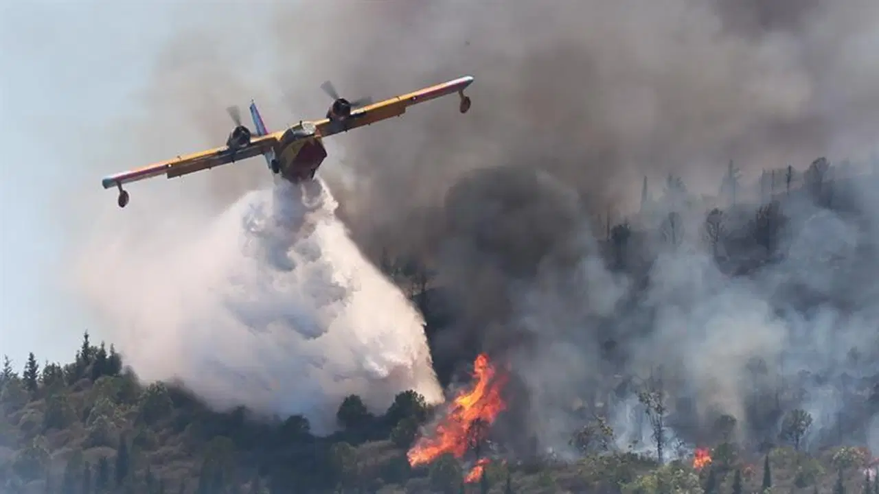 Greenpeace’ten hükümete teşvik eleştirisi: ‘O rakamlarla 650 yangın söndürme uçağı alınabilirdi’