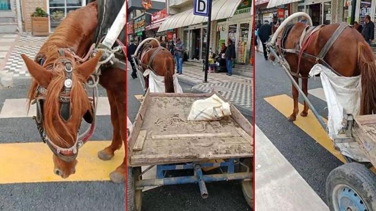 At arabasını yaya geçidine park eden kişiye para cezası