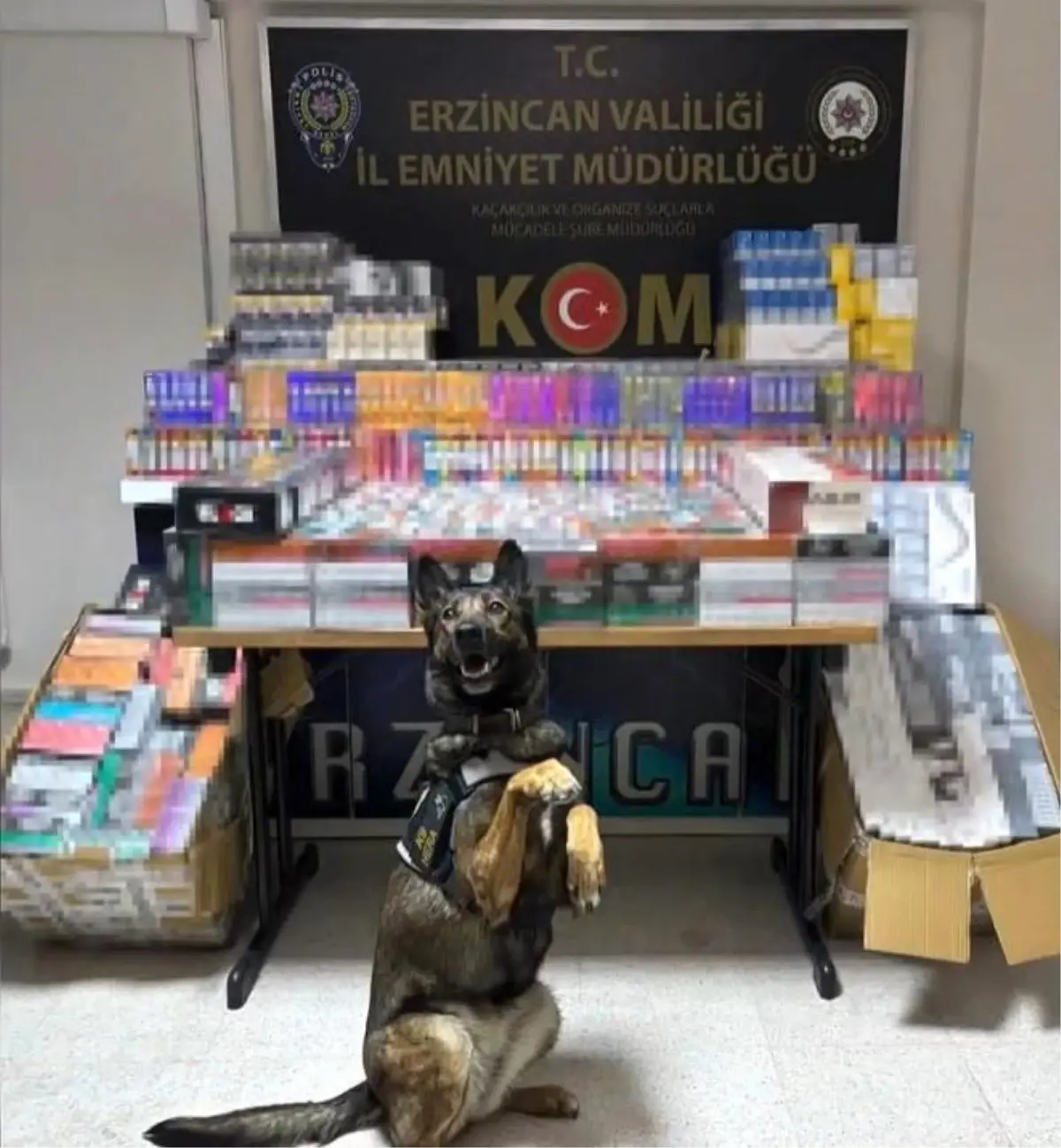 Erzincan’da Kaçak Sigara ve Elektronik Sigara Operasyonu
