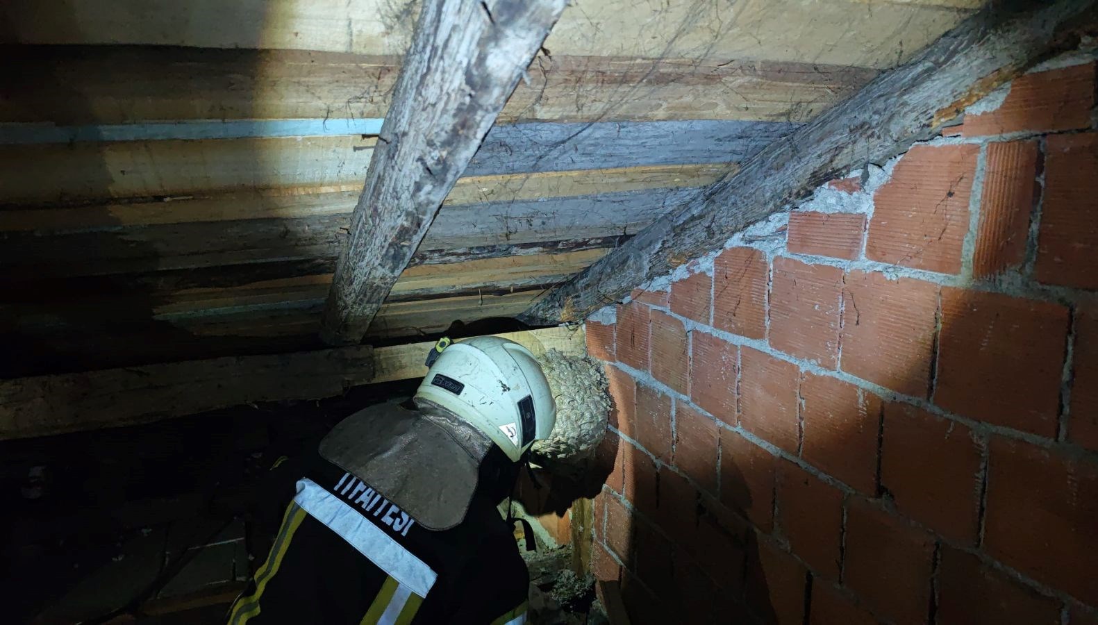 Evin çatısında yaban arısı paniği: İtfaiye ekipleri çıkardı