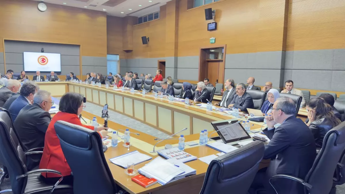 Engelli Bireyler İçin TBMM Toplantısı