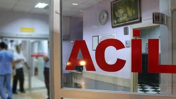 Midye ve kumpir faciası sonrası yeni gelişme: Aynı otelde kalan turistlerin sağlık durumuna ilişkin açıklama!