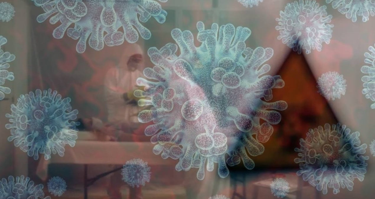 Yeni salgın can aldı: İlk kez insana bulaştı