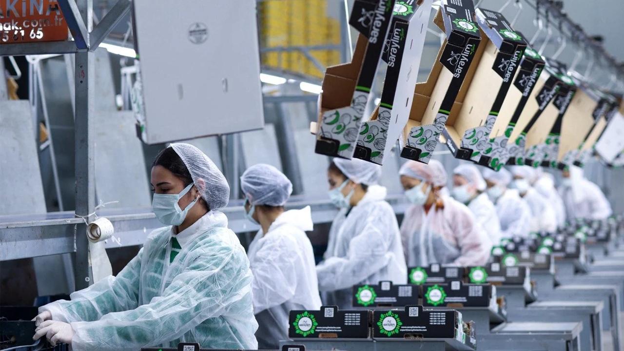 36 senelik meyve-sebze firmasından kötü haber! Konkordato ilan etti