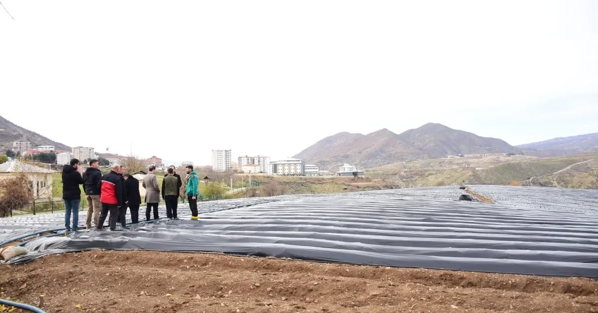 Batman Sason’da çilek üreticilerine ziyaret