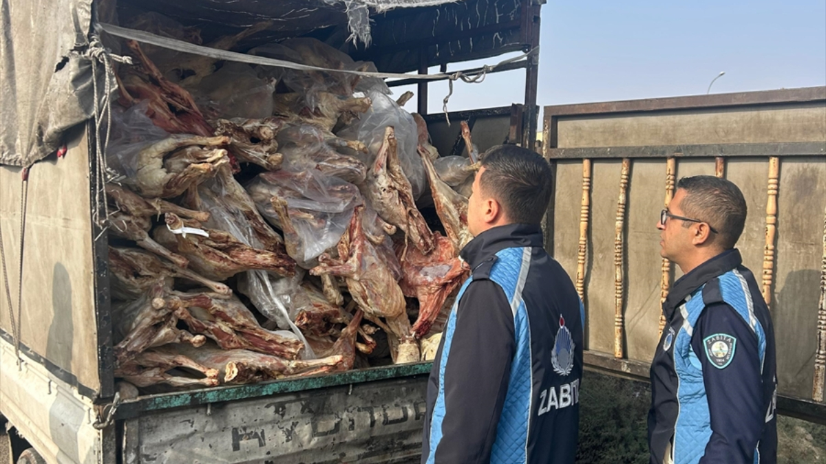 Gaziantep’te 1,9 ton bozulmuş et imha edildi