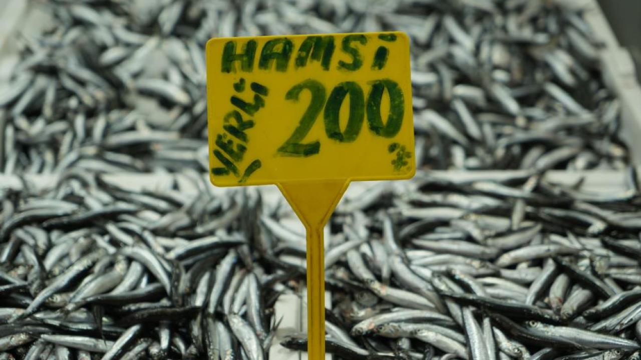 Hamside bolluk azaldı, fiyatı 200 TL’ye çıktı