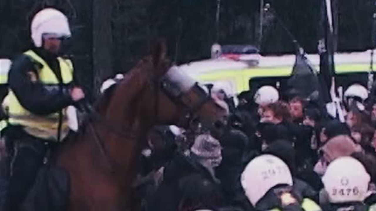 İsveç’te neo-Naziler 15 yıl sonra yeniden sokakta