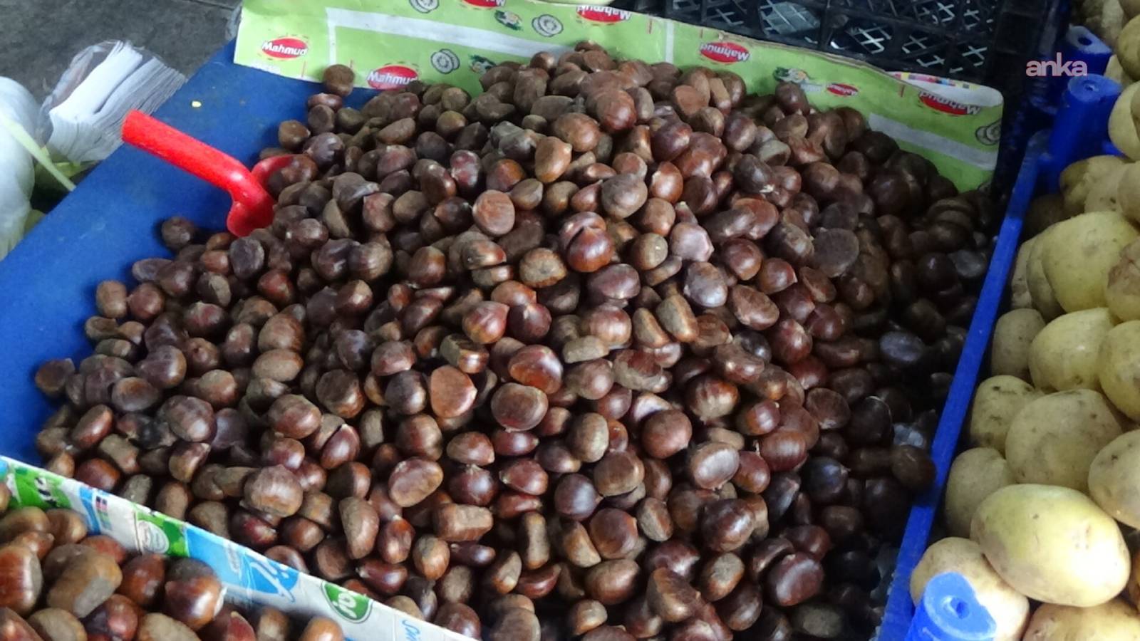 Kestane fiyatları cep yakıyor: Türkler fiyatını soruyor alamıyor, Bulgarlar daha çok alıyor