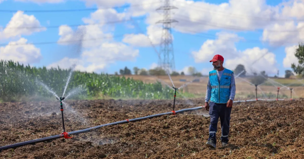 Kocaeli Toramanlar’da sulama suyu toprakla buluştu