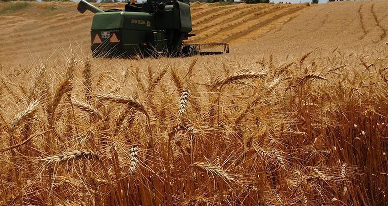 TÜİK açıkladı: Tahıl ürünleri üretimi azaldı