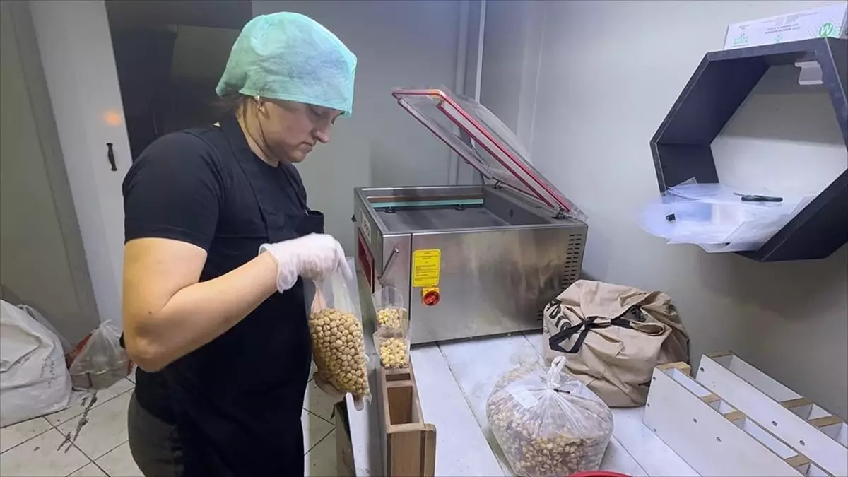 Emel Çakır: Fındıkla Girişimcilik Hikayesi