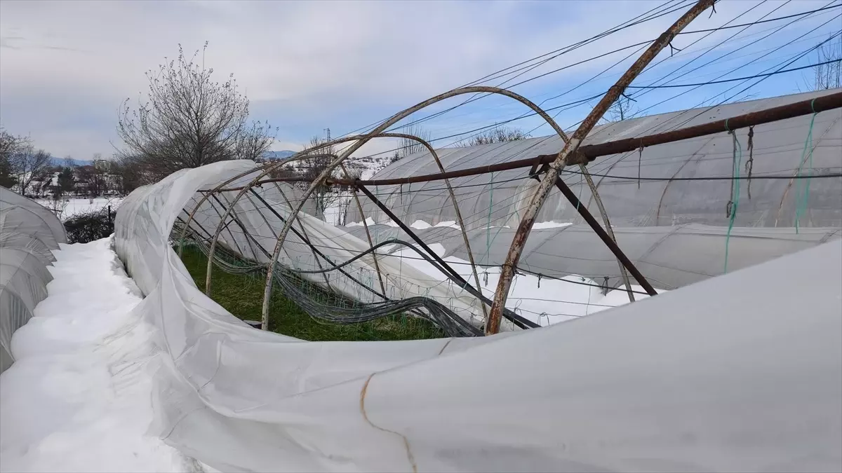 Kar Yağışı Seralara Zarar Verdi