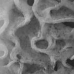 atlas-featured-9908-1775634616-Le7udV