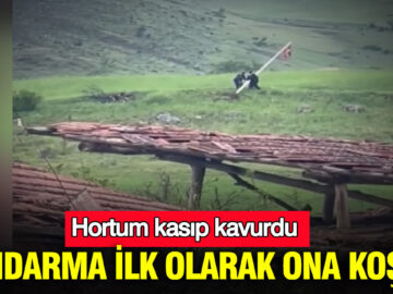 Hortum Felaketi: Jandarma İlk Müdahaleyi Gerçekleştirdi