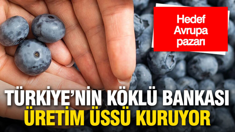 turkiyenin-koklu-bankasi-yuksek-teknolojili-uretim-tesisi-kuruyor-jy44XsTv
